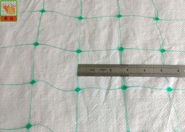 Green Color PP Agricultural Netting , Climbing Plant Support Mesh Hole Open 8cmx8cm