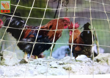 La cerca modificada para requisitos particulares de las aves de corral del pollo del plástico transparente, las aves de corral plásticas cerca, la fuerza de alta resistencia, el 1.5M alto