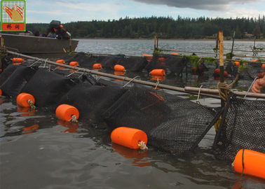 Color negro plástico sacado de la malla el 1m de la ostra de la red cuadrada de la acuicultura de par en par